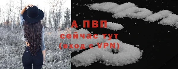 прущие грибы Арсеньев
