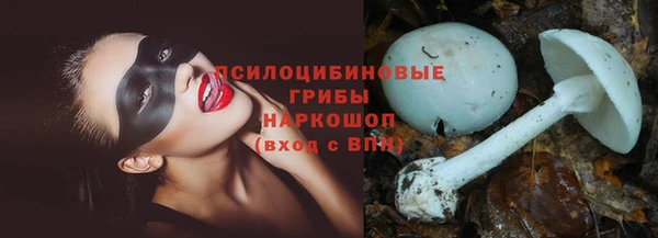 кокс Армянск