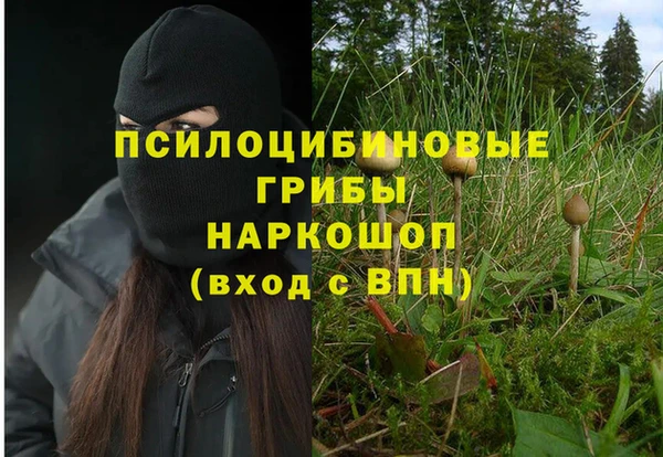 прущие грибы Арсеньев
