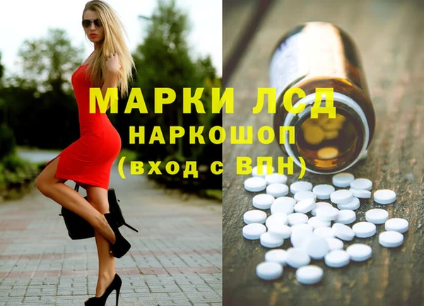 прущие грибы Аркадак