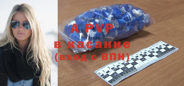прущие грибы Арсеньев
