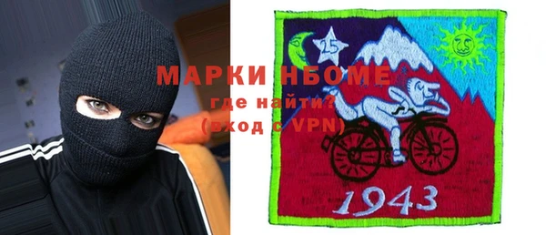 прущие грибы Аркадак