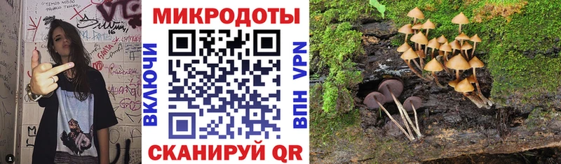 Галлюциногенные грибы Cubensis  Пошехонье 