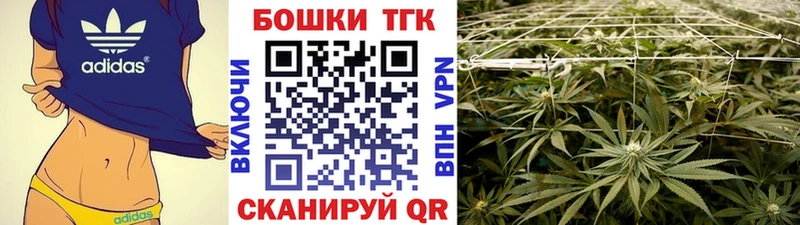 Каннабис OG Kush  Пошехонье 